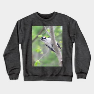 Michigan Downy Woodpecker Crewneck Sweatshirt